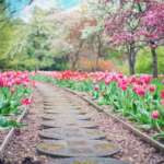 stepping stones surrounded by flowers